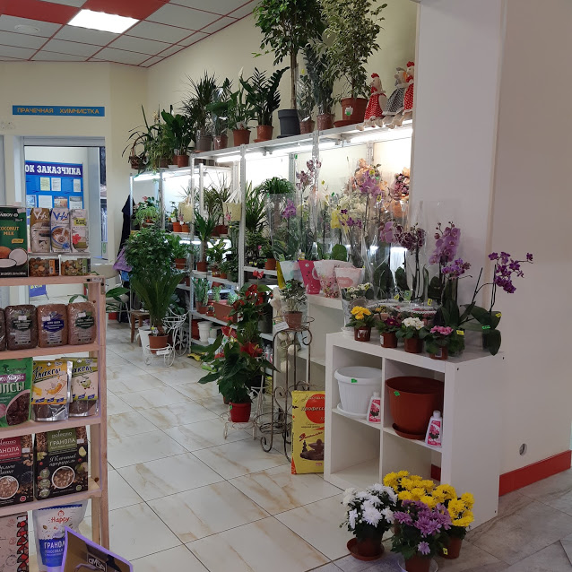 Где В Таганроге Можно Купить Цветы